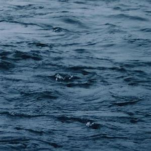 三级日本亚洲色图自拍偷拍一区二区
